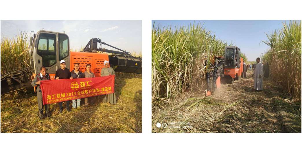 working scene of Jing Gong crawler type whole stalk sugarcane harvester machine working scene of Jing Gong crawler type whole stalk sugarcane harvester machine